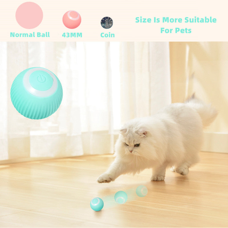 Smart Cat Ball Toys - TravelBall